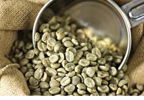 GREEN%20COFFEE%20BEANS%7C250:GRAM%20-%20Image%202