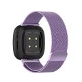 For Fitbit Versa 3 / Fitbit Sense Magnetic Milano Watch Band, Size:Large Size. 