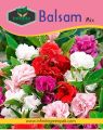 Balsam Mix Summer Flower Seeds. 
