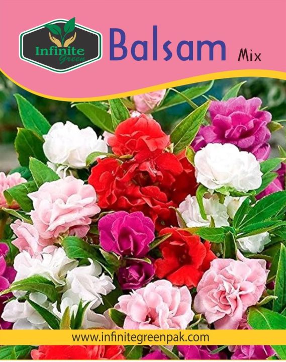 Balsam Mix Summer Flower Seeds