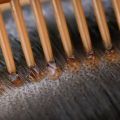 Hair Oil Selfie Bottle - Root Comb Applicator Bottle - Hair Dye Bottle - Best professional hair oil applicator bottle. 