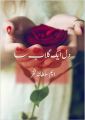 Dil Aik Gulab Sa Novel By M Sultana Fakhar best selling urdu reading book. 