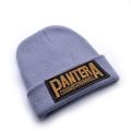 pantera band Winter Hats Hat Female Unisex Plain Warm Soft Women's Skullies Beanies Knitted Touca Gorro Caps For Men Women. 