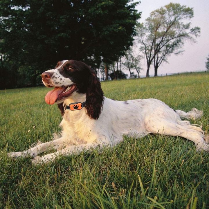 MASBRILL%20Dog%20Bark%20Collars%20-%20Effective%20Anti%20Barking%20No%20Shock%20Pet%20Dog%20Training%20Collar%20Stop%20Barking%20Deterrent%20Device%20Humane%20Vibration%20Beep%20No%20Barks%20Collar%20for%20Small,%20Medium%20Large%20Dogs%2015-110lbs%20-%20Image%208