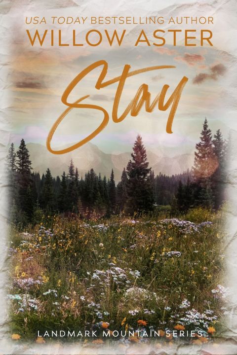 Stay (Landmark Mountain, #5) by Willow Aste