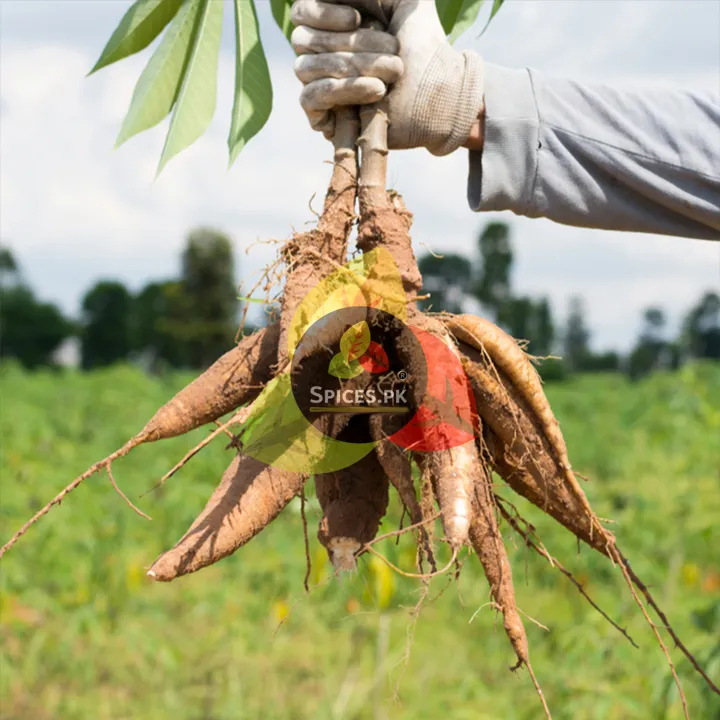 Premium%20Sago%20Dana%20Seeds%20210g%20-%20Traditional%20Asian%20Cooking%20Ingredient,%20Filtered%20&%20Sorted%20-%20Image%208