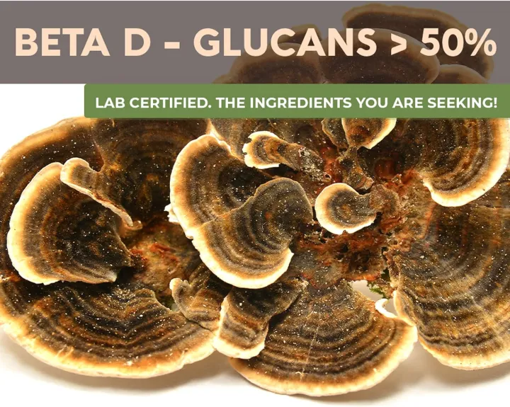 Myriad%20Mycology%20Turkey%20Tail%20Mushroom%20Powder%205.2oz%20or%20150g,%20Made%20in%20USA%20/%20Yun%20Zhi%20-%20Image%205