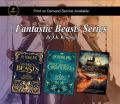 Fantastic Beasts Series By J K  Rowling. 