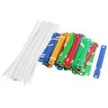 Two-Piece Paper Fastener 2 Holes Plastic Binding Two-Piece Student Document Paper Fasteners 8CM 50 pcs. 