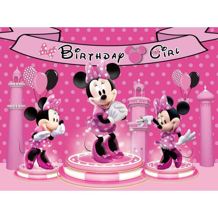 MINNIE MOUSE THEME BIRTHDAY PARTY BANNER ( 36 INCHES X 24 INCHES )