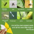 20Pcs Sticky Trap,Fruit Fly and Gnat Trap Yellow Sticky Bug Traps for Indoor/Outdoor Use Insect Catcher for White Flies. 