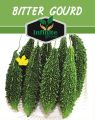 Karela (Bitter gourd ,کریلا) Desi summer Vegetable 15 seeds. 