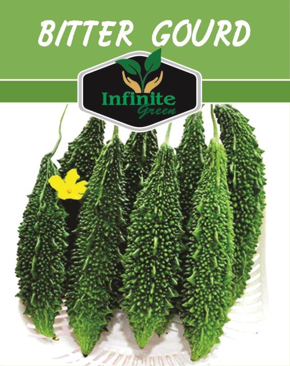 Karela (Bitter gourd ,کریلا) Desi summer Vegetable 15 seeds