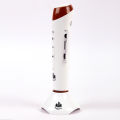 Teaching Pen / AUK AK-777 Advance Smart e Pen Art # GW-AK777ADV. 