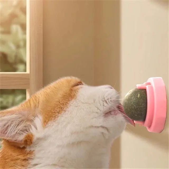 "Healthy%204-Flavour%20Cat%20Licking%20Balls%20%E2%80%93%20Catnip,%20Silvervine,%20Gall%20Fruit%20&%20Cat%20Sugar%20%E2%80%93%20Wall-Mounted%20Cat%20Treat%20Toys%20with%20Dust%20Cover%20%E2%80%93%20Interactive%20Cat%20Snacks%20&%20Chews"%20-%20Image%206