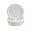 Disposable Plates 10 Pcs. 
