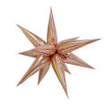 GOLDEN 4D STAR FOIL BALLOON ( 22 INCH X 20 INCH ). 