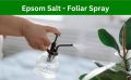 Epsom Salt 5 kg for Plant Growth & Development | Contains Magnesium Sulfate Water Soluble Plant Fertilizer | Prevents yellowing of leaves | Promotes bountiful blooms | tasty fruits and plant. 