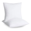 relaxsit Pack of 5 Home Decor Printed Cushion covers Sofa Cushions Sitting Cushion throw pillow size (Option with filling insert is in variton) 16" x 16" or 40 x 40. 
