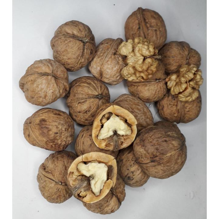 Walnuts - Ghizer Valley - Hunza - Gilgit Baltistan - Fine Quality - Fresh -  Easily Breakable - Akhrot - (Medium size) - 1Kg