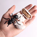 New Realitic Ant Growth Cycle Figurine et Kid imulated Animal Educational Toy. 