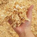 Wood Shavings (Natural Nesting Material) for Birds, Parrots & Small Pets | Pack of 4 | Soft, Original Pet Bedding for Nests. 