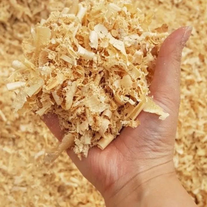 Wood Shavings (Natural Nesting Material) for Birds, Parrots & Small Pets | Pack of 4 | Soft, Original Pet Bedding for Nests