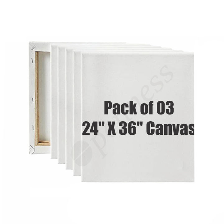 OPENNESS - Canvases for Painting - Pack of 03 24 x 36 Inch Blank White Canvas Boards - 100% Cotton
