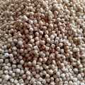Pure and Organic White Mota Chana 1kg ( Safaid Chana), Extreme Quality. 