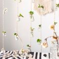 Set of 8 Hanging Glass Vases for Home Decor | Rustic Rope Design | Housewarming Gift | Beautiful Gift Ideas for Home Decorations - Event Decore. 