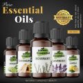 Frankincense Aromatherapy Essential Oil for Pain - Pure and Natural - Therapeutic Grade for Skin and Face, Diffuser, Aromatherapy Household Uses - Undiluted. 