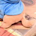 17cm Cute Mini Chihuahua Dog Plush Toy Soft Stuffed Animal Doll Birthday Gift. 