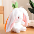 Kawaii Fruit Transfigured Bunny Plush Toy Cute Carrot Strawberry Turn Into Rabbit Plush Toy Kids Birthday Christmas Gift. 