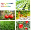 PH up PH down kit General Hydroponics (USA IMPORTED) 100ml each bottle. 