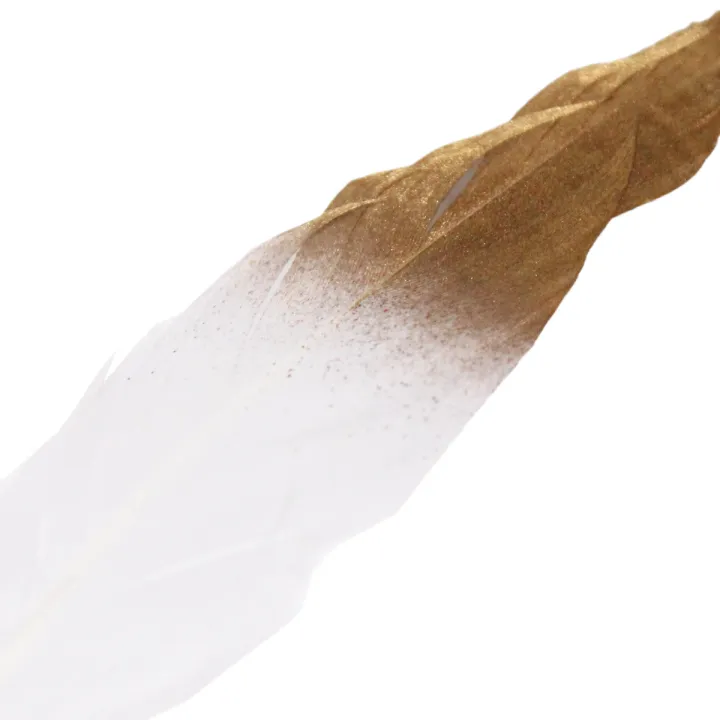 Feather%20Signature%20Pen%20Collection%20%E2%80%93%20Elegant%20Green%20&%20Gold%20Feather%20Pen,%20Peacock%20Feather%20Pen,%20Remorui%20Feather%20Pen,%20Polymer%20Feather%20Pen%20for%20Calligraphy,%20Office,%20Home,%20Party%20&%20Signature%20Writing%20%E2%80%93%208%20Inch%20/%2020%20cm%20Premium%20Nature%20Feather%20Pens%20-%20Image%205