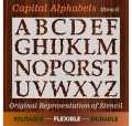 Alphabets 1 Pcs Reusable Stencil For wall Painting Art DIY Home Decor, Album Crafts and Canvas ID 433. 