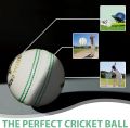 White Cricket Ball - Pack of 1 Genuine Leather Cricket Balls for Day or Night International Standard Cricket and Practice | Bat-Friendly Cricket Ball| 156g. 