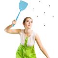 Fly Swatter 10 Pack Plastic Long Handle Fly Swat Manual Swat Pest Control for Flies and Mosquito Multi-Color Random. 
