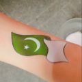 Patriotic Pakistan Stickers Sheet, 14th August Celebration Stickers, 14 August face stickers, Pakistan Flag stickers for Face, Azadi day stickers, Azadi stickers, 14 August stickers, Independence day stickers, National symbols stickers, Hand Face Stickers. 