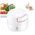 mini chopper manual speedy chopper meat mincing machine vegetable and fruit chopper Powerful Meat Grinder Hand-power Food Chopper Mini Food Garlic Slicer Speedy Chopper Household Mincing Machine Minced Hand Pull Grinder Grill Vegetable Meat Kitchen M. 