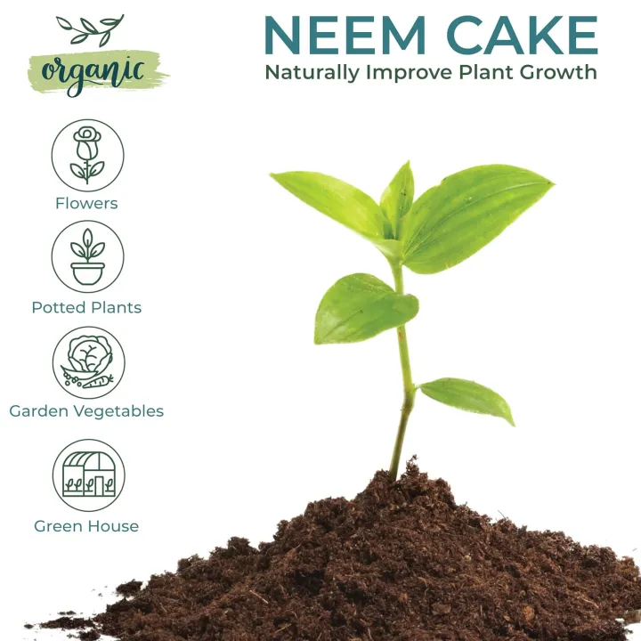 5kg%20%E2%80%94%20Neem%20Cake%20(Khali)%20fertilizer%20For%20Plants%20-%20Best%20Organic%20Fertilizer%20-%20Pest%20Control%20-%20Improve%20soil%20health%20%E2%80%93%20Moji%20Mall%20-%20Image%204
