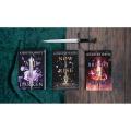 And I Darken (Now I Rise) (Bright We Burn): The Complete Trilogy Book by Kiersten White [Step_UP]. 