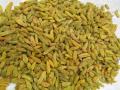 250 grams - Sundarkhani Raisin [ Premium Quality ] ( Kishmish/ Meva kandhari ). 