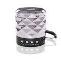 S-888 Mini Bluetooth Multimedia Speaker System with FM for All Smartphones. 