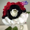 Tri Color Rose Flower Seeds. 