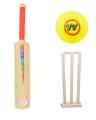 Bat Ball Plastic | PREMIUM SPORTS Kids Cricket Set - 1 x Plastic Bat 2 x Cricket Soft Balls | Gifts For Kids. 