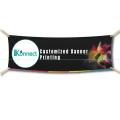 Customized Panaflex Banner Printing (All Sizes Available). 