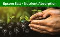Epsom Salt 5 kg for Plant Growth & Development | Contains Magnesium Sulfate Water Soluble Plant Fertilizer | Prevents yellowing of leaves | Promotes bountiful blooms | tasty fruits and plant. 