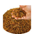 18. dry worm larva organic for finches hens. 