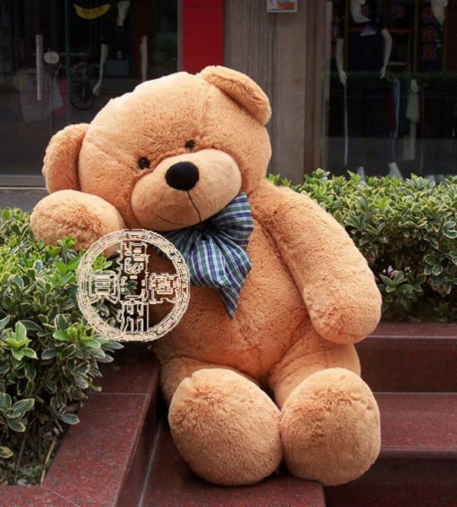Plush%20teddy%20bear%20skin%20shell,%20teddy%20bear%20plush%20toy%20Lin%20Jiaxin%20large%20bear%20three-color%20empty%20skin%20-%20Image%207
